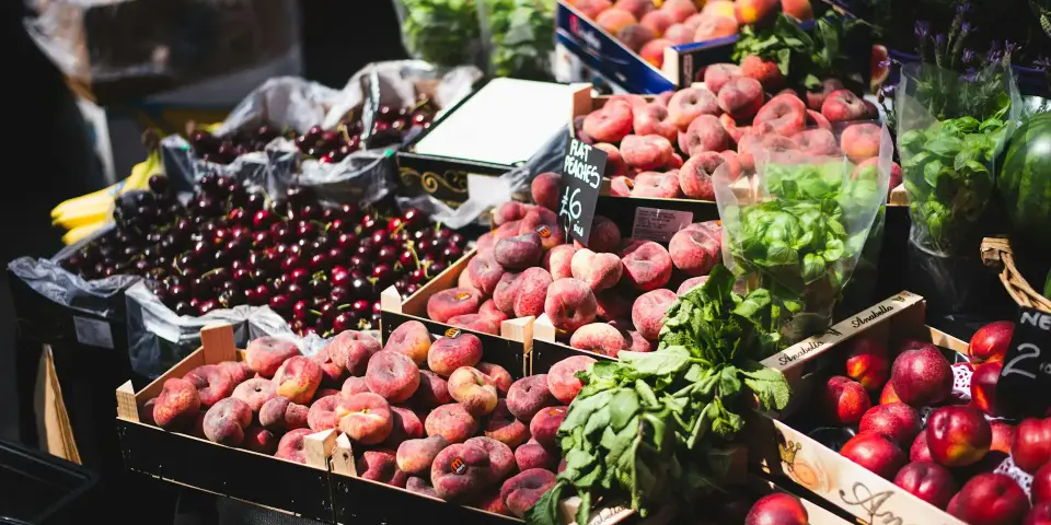 Market Adventure in the Heart of the Var